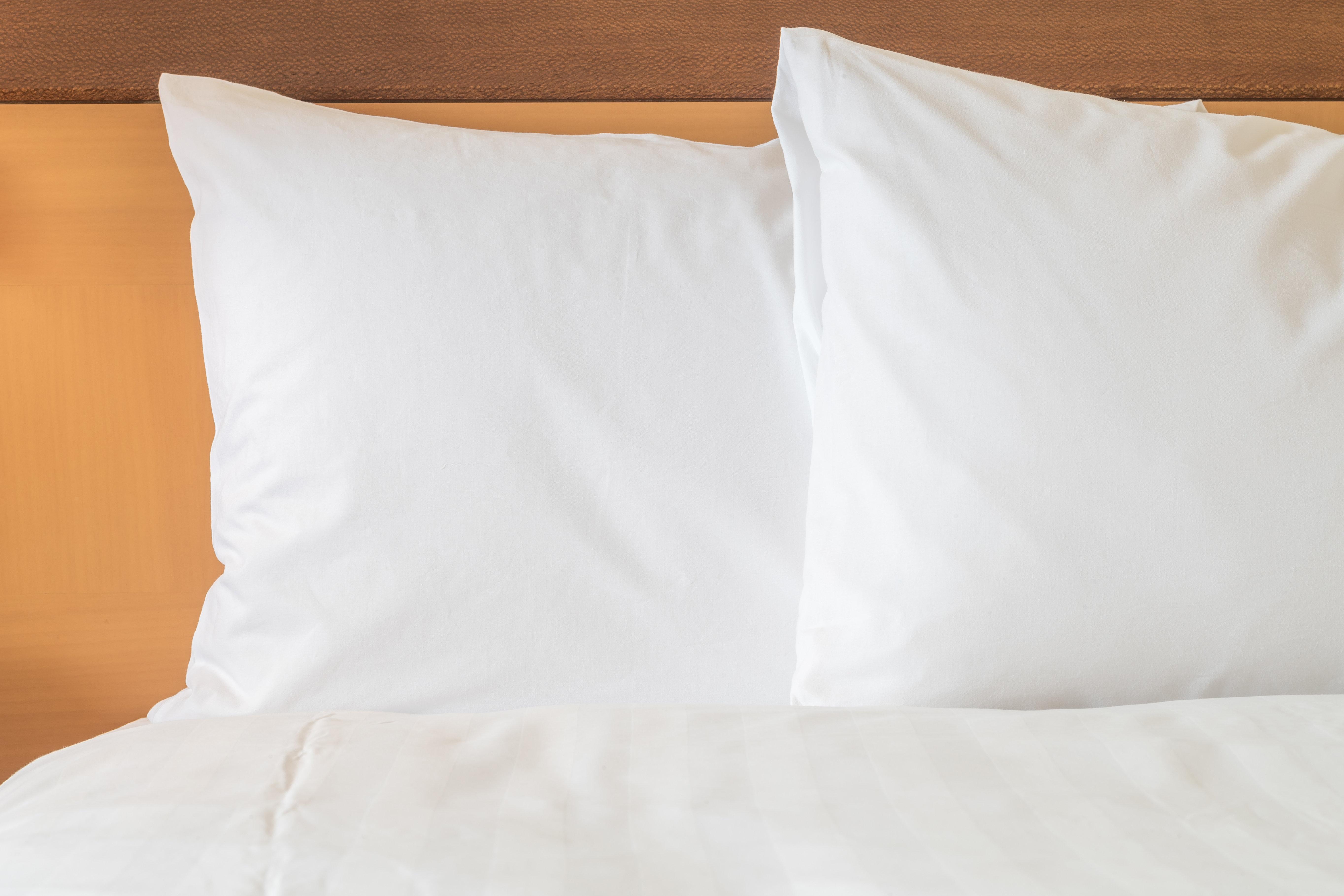فندق وأجنحة هوليداي إن سانتو دومينجو المظهر الخارجي الصورة Two pillows on a bed