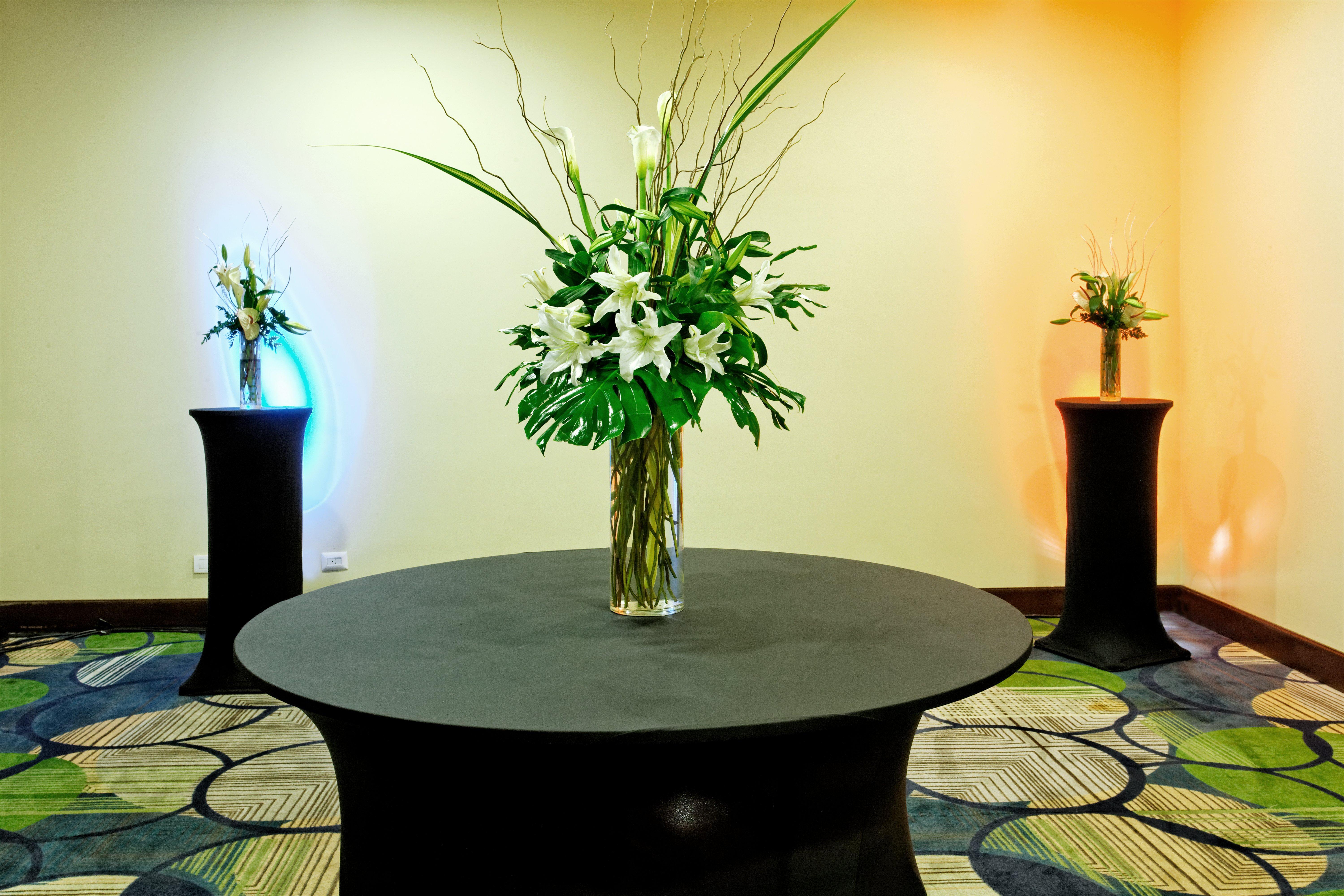 فندق وأجنحة هوليداي إن سانتو دومينجو المظهر الخارجي الصورة A cocktail table with a flower arrangement