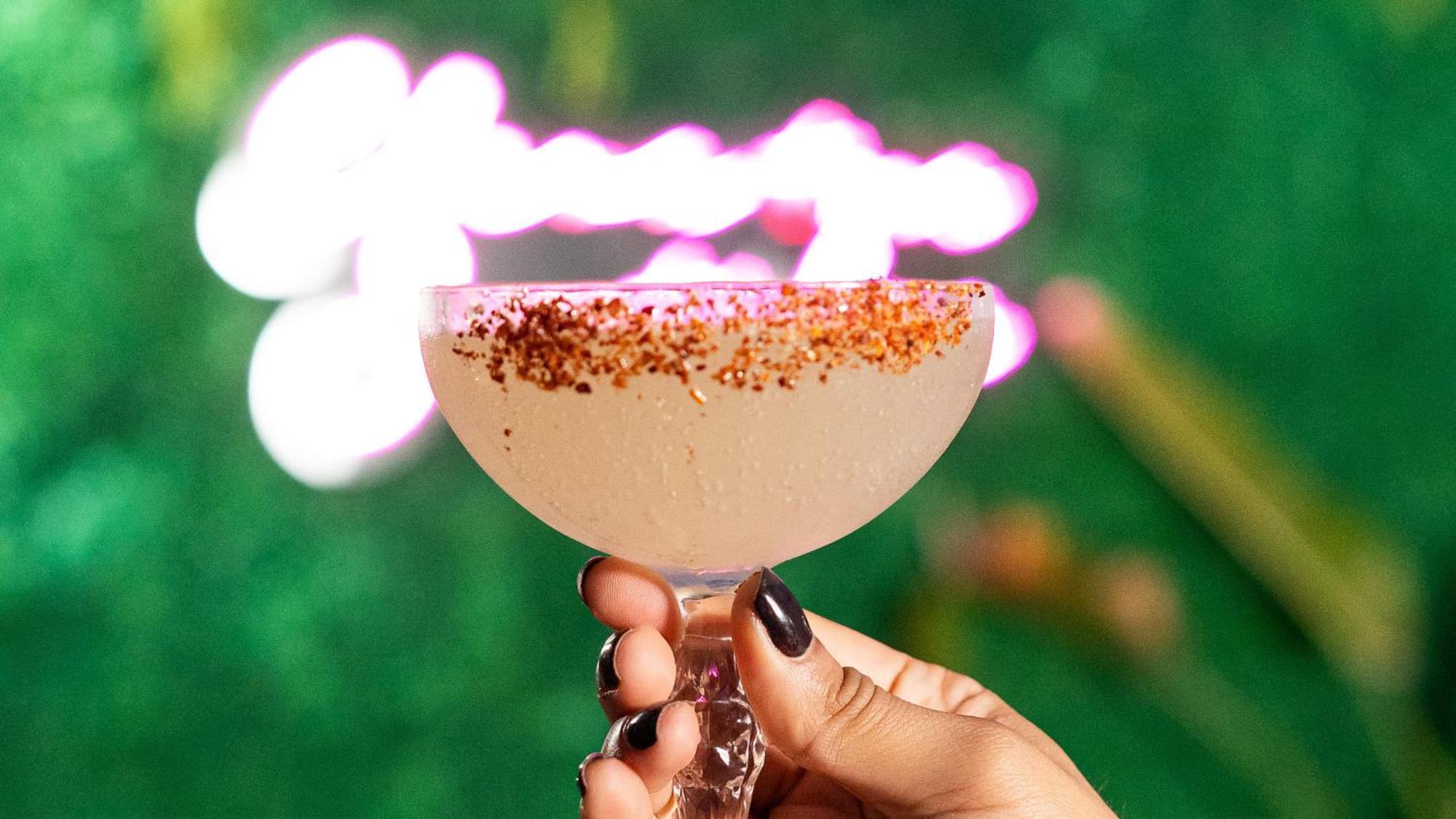 فندق وأجنحة هوليداي إن سانتو دومينجو المظهر الخارجي الصورة A chocolate martini